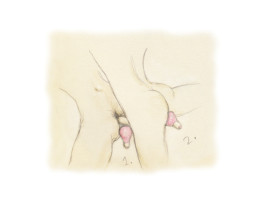 Силиконовый стимулятор для всего тела Gvibe Gbulb, 9,5 см-foto9