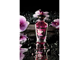 Масло для массажа Shunga Малиновое чувство, разогревающее, 100 мл-foto25