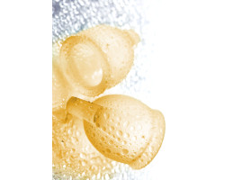 Набор менструальных чаш Satisfyer Feel confident Menstrual Cup (orange)-foto13