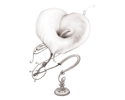 Gvibe Gkit - набор анальная пробка+кольцо-foto6