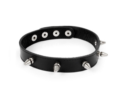 ОШЕЙНИК кожа, цвет чёрный арт. NTB-80357