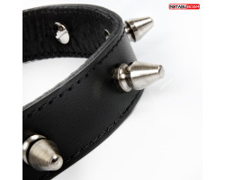 ОШЕЙНИК кожа, цвет чёрный арт. NTB-80357-foto4