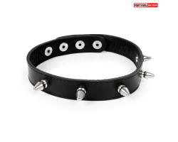 ОШЕЙНИК кожа, цвет чёрный арт. NTB-80357-foto2