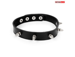 ОШЕЙНИК кожа, цвет чёрный арт. NTB-80357-foto2