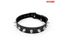 ОШЕЙНИК L 420 мм, цвет чёрный арт. NTB-80556-foto3