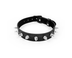 ОШЕЙНИК L 420 мм, цвет чёрный арт. NTB-80556