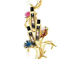 Массажное масло Shunga Полуночный цветок, возбуждающее, натуральное, 250 мл-foto11