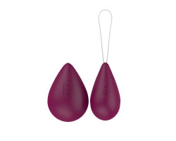 Виброяйцо с пультом управления Take it Easy Best Wine Red 9021-01lola-foto5