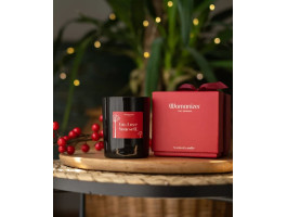 WOMANIZER SCENTED CANDLE 550г-foto2