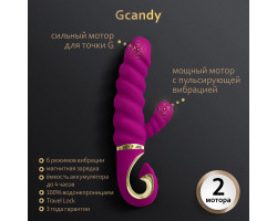 Gcandy Sweet Gvibe - Невероятный витой вибратор с клиторальным стимулятором Raspberry Gift Box-foto3
