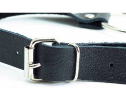 Кляп с кольцом 60001ars-foto2