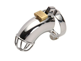 НАСАДКА (ПОЯС ВЕРНОСТИ) (металл.) арт. NTU-80290