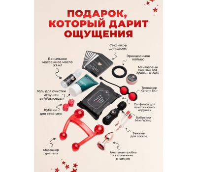Адвент-календарь Lovehoney Couple's Advent Calendar 2024