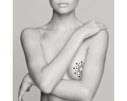 Наклейки на грудь MIMI GOLD NIPPLE COVERS-foto3